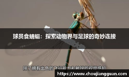 球员食蜻蜓：探索动物界与足球的奇妙连接